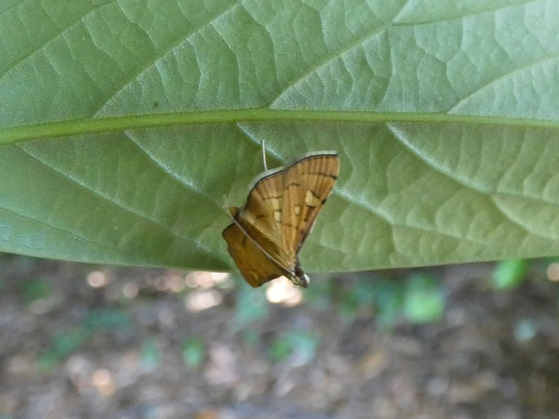 photo_2